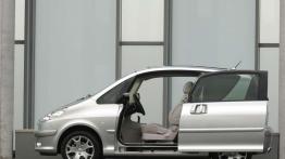 Ofiara praktyczności - Peugeot 1007