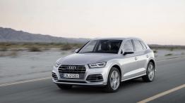 Audi Q5 (2017)
