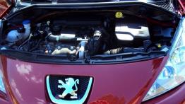 Peugeot 207 Hatchback 5d - galeria społeczności - logo