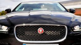 Jaguar XE 2.0d Prestige - Rademenes