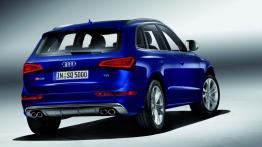 Audi SQ5 TDI - tył - reflektory włączone