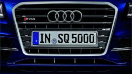 Audi SQ5 TDI - grill