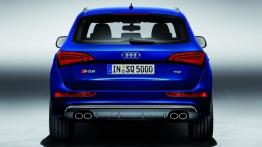 Audi SQ5 TDI - tył - reflektory włączone