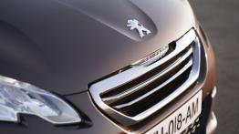 Peugeot 2008 (2014) - grill