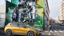 BMW X2 xDrive 20d M Sport X (2018)