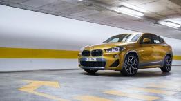 BMW X2 xDrive 20d M Sport X (2018) - inne zdjęcie