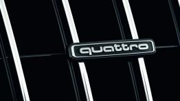 Audi Q5 Facelifting - logo