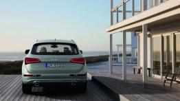 Audi Q5 Facelifting - widok z tyłu