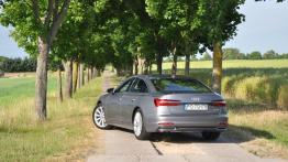 Audi A6 - galeria redakcyjna - widok z tyłu