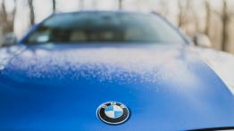 BMW X6 - galeria redakcyjna - widok z przodu