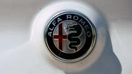 Alfa Romeo Stelvio Quadrifoglio - galeria redakcyjna