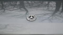 Mercedes-Benz Klasa G 350d 3.0 286 KM - galeria redakcyjna