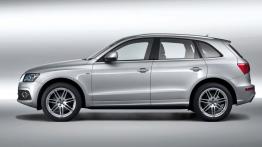 Audi Q5 S Line - lewy bok