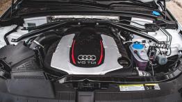 Audi SQ5 - hot-SUV