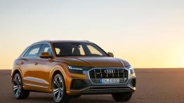 Audi Q8 uzupełnia gamę SUV-ów z Ingolstadt