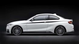 BMW Serii 2 Coupe z pakietem M Performance