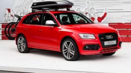 Audi Q3 Camping Tent - w parze z namiotem