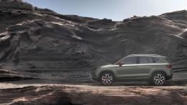 SEAT Ateca X-Perience