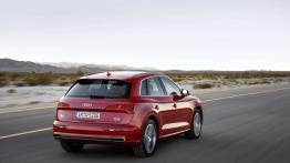 Audi Q5 II SUV 2.0 45 TFSI 245KM 180kW 2019-2020