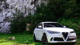 Alfa Romeo Stelvio SUV 2.0 Turbo 200KM 147kW 2017-2019