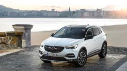 Opel Grandland X Ultimate (2018)  - widok z przodu