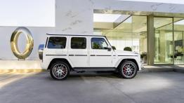 Mercedes Klasa G W461 2.5 GD 92KM 68kW 1990-2001