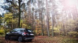 Skoda Kodiaq I Scout 1.4 TSI ACT 150KM 110kW 2017-2019