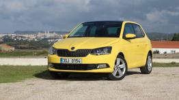 Skoda Fabia III Hatchback 1.4 TSI 125KM 92kW 2018-2018