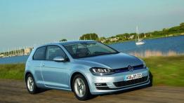 Volkswagen Golf VII TDI BlueMotion (2013) - prawy bok