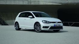 Volkswagen Golf VII Hatchback 5d 1.6 TDI BlueMotion 110KM 81kW 2015-2016