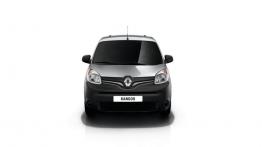 Renault Kangoo II Express Compact Facelifting 2013 1.5 Blue dCi 95 95KM 70kW 2019