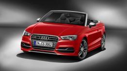 Audi A3 8V S3 Cabriolet 2.0 TFSI 300KM 221kW 2014-2016