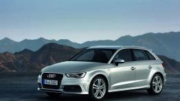 Audi A3 8V Sportback 5d 2.0 TDI clean diesel 150KM 110kW 2014-2016