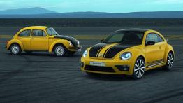 Volkswagen Beetle Hatchback 3d 1.6 TDI 140KM 103kW 2011-2015