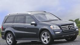 Mercedes Klasa GL X164 Off-roader Facelifting 350 CDI BE 224KM 165kW 2009-2012