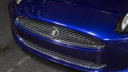 Jaguar XK 2012 - grill