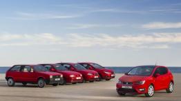 Seat Ibiza V Facelifting - widok z przodu