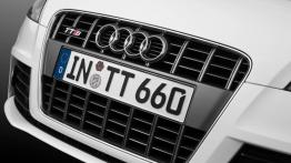 Audi TT S Roadster - grill