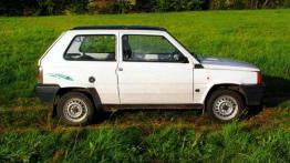Fiat Panda I Hatchback 1.3 D 37KM 27kW 1986-1992