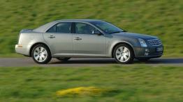 Cadillac STS 4.6 i V8 32V VVT 325KM 239kW 2010-2011