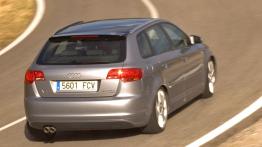 Audi A3 Sportback TDI 170KM - widok z tyłu