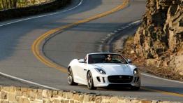 Jaguar F-Type AWD R Roadster (2016) - widok z przodu