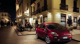 Fiat Punto 2013 - widok z przodu