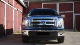 Ford F-150 - model 2013 - widok z przodu