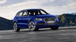 Audi SQ5 TDI - widok z przodu