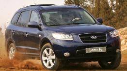 Hyundai Santa Fe 2006 - prawy bok