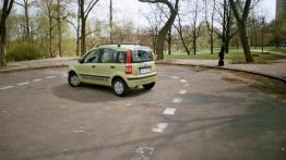 Fiat Panda 1.3 JTD Multijet Dynamic - lewy bok