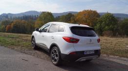 Renault Kadjar 1.6 dCi 130KM X-Tronic S-Edition - galeria redakcyjna - widok z tyłu