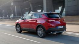 Opel Grandland X Hybrid4 - widok z ty?u