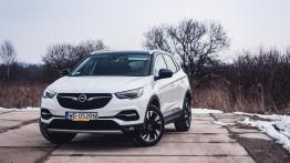 Opel Grandland X 1.2 Turbo - galeria redakcyjna - widok z przodu